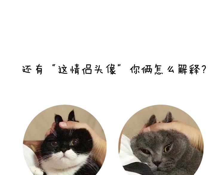第5期 《贵族戏精课》100