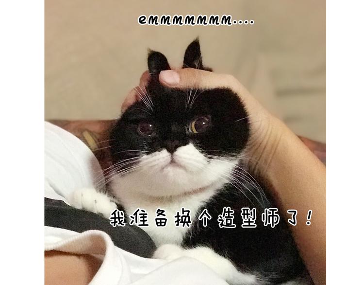 第5期 《贵族戏精课》34