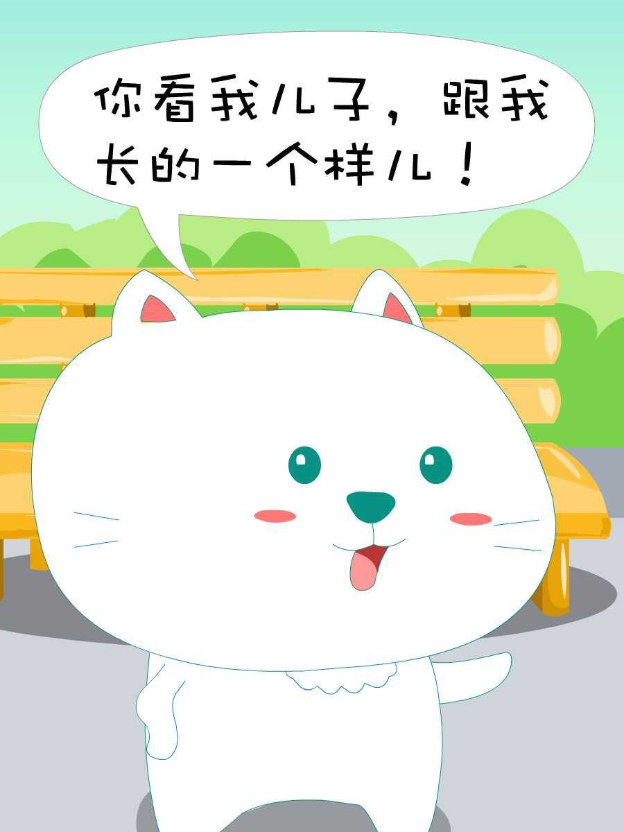 笨笨猫 第8集2