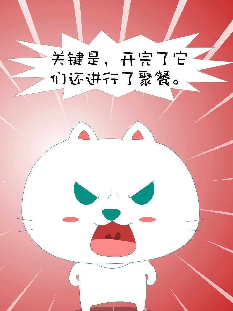 笨笨猫 第2集5