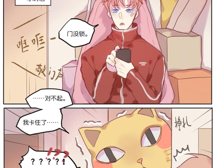 少年与猫17