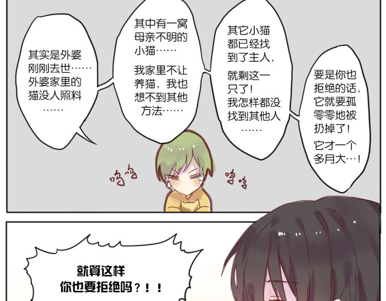 少年与猫10