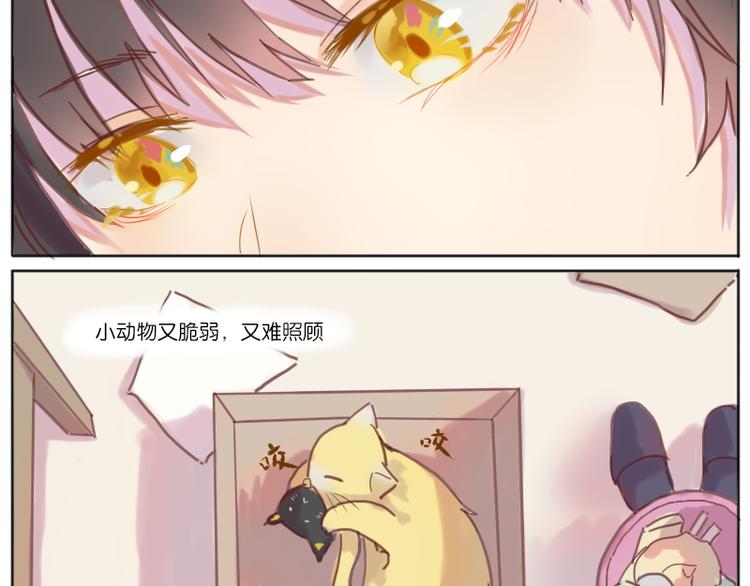 少年与猫24
