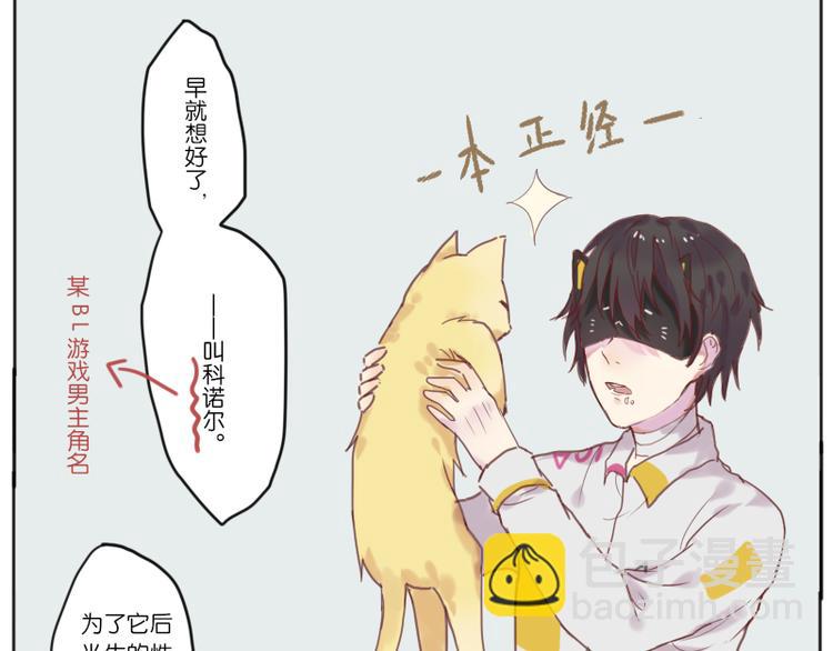少年与猫39