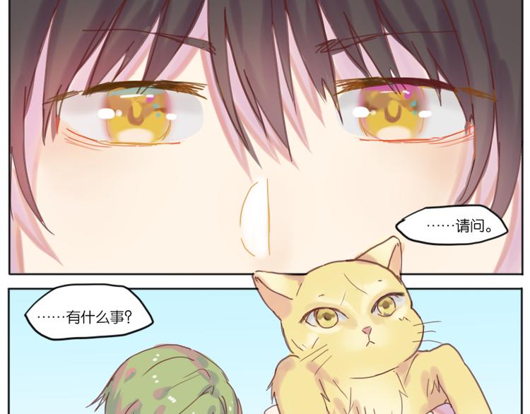 少年与猫7