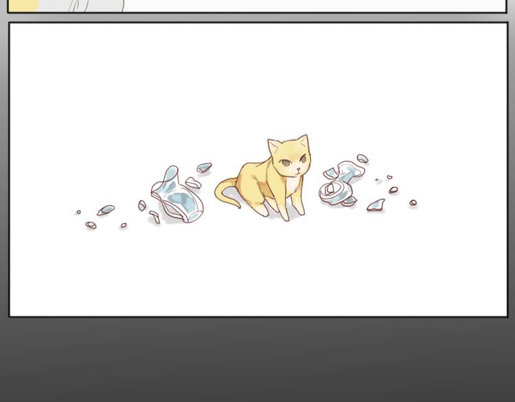 少年与猫34