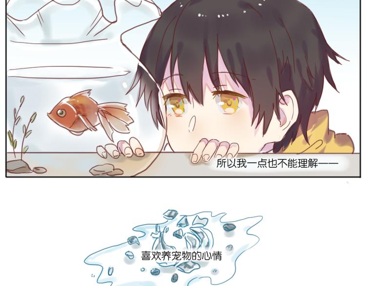 少年与猫5