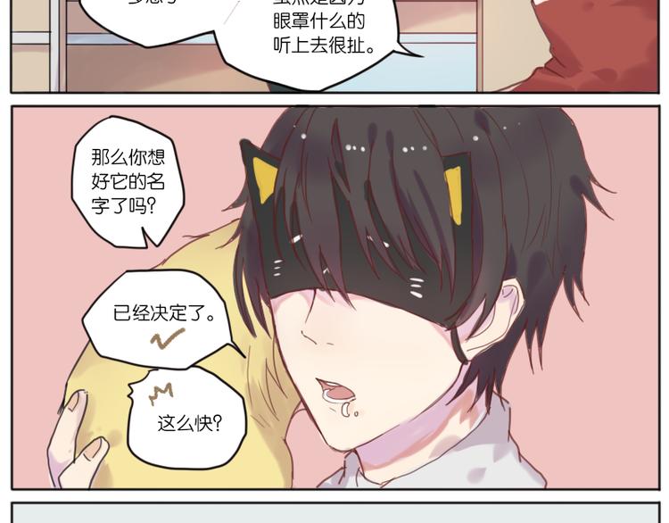 少年与猫38