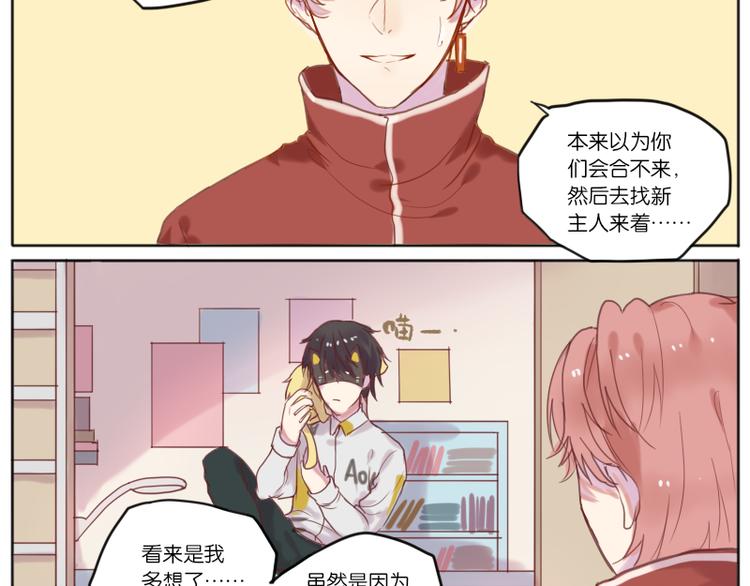 少年与猫37
