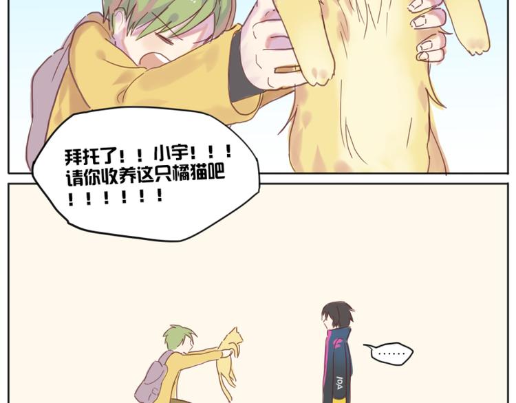 少年与猫8
