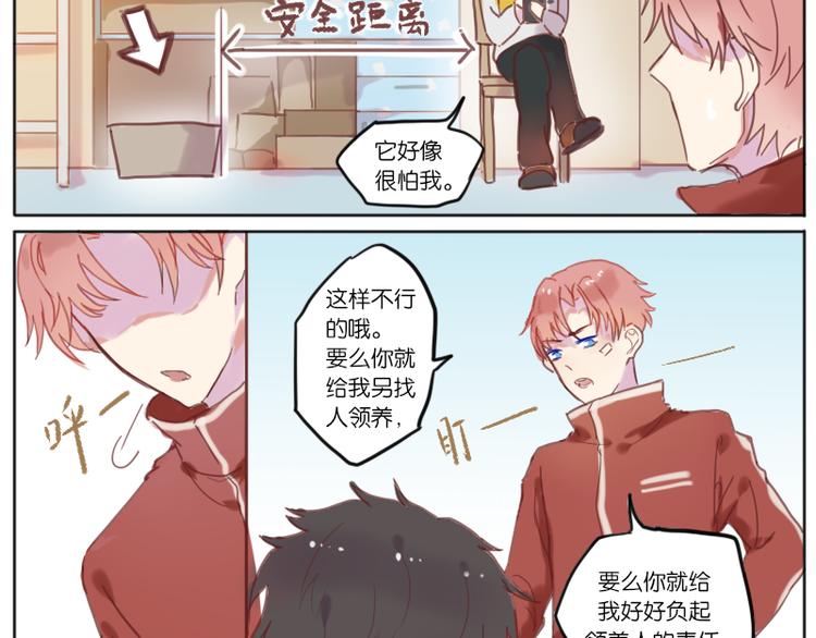 少年与猫15