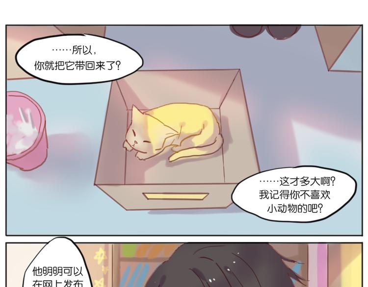 少年与猫13