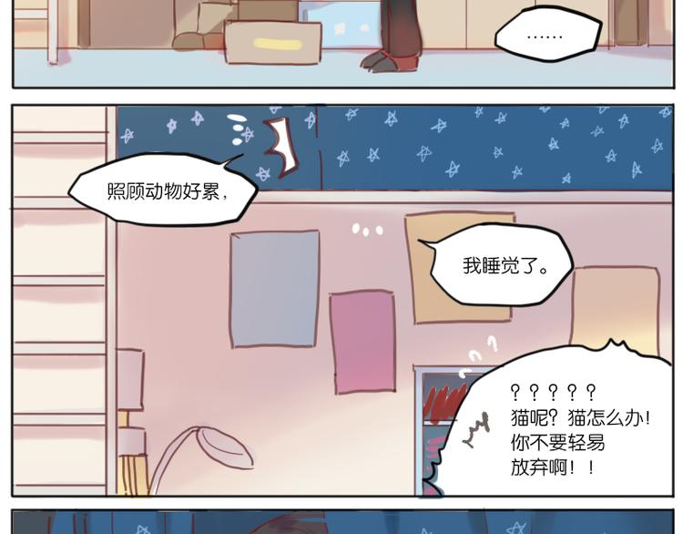 少年与猫22