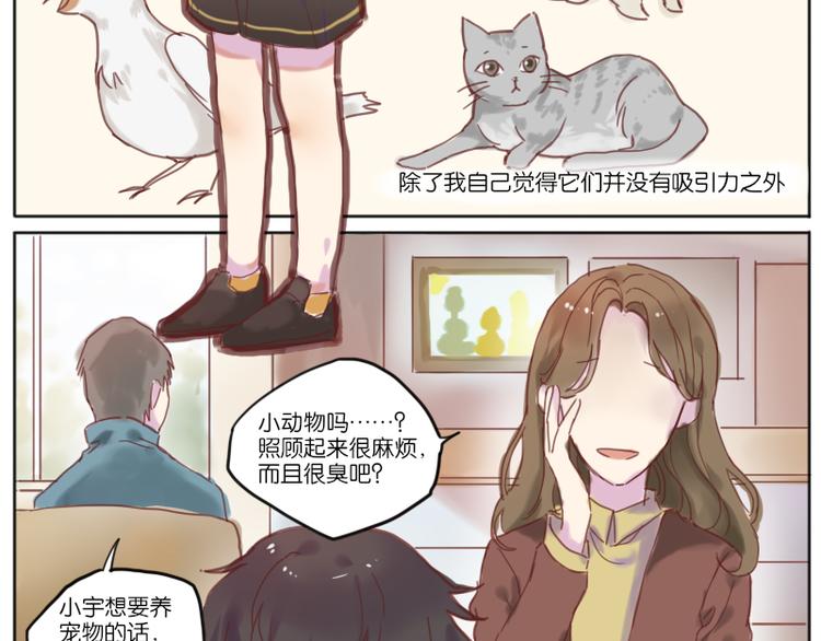 少年与猫3