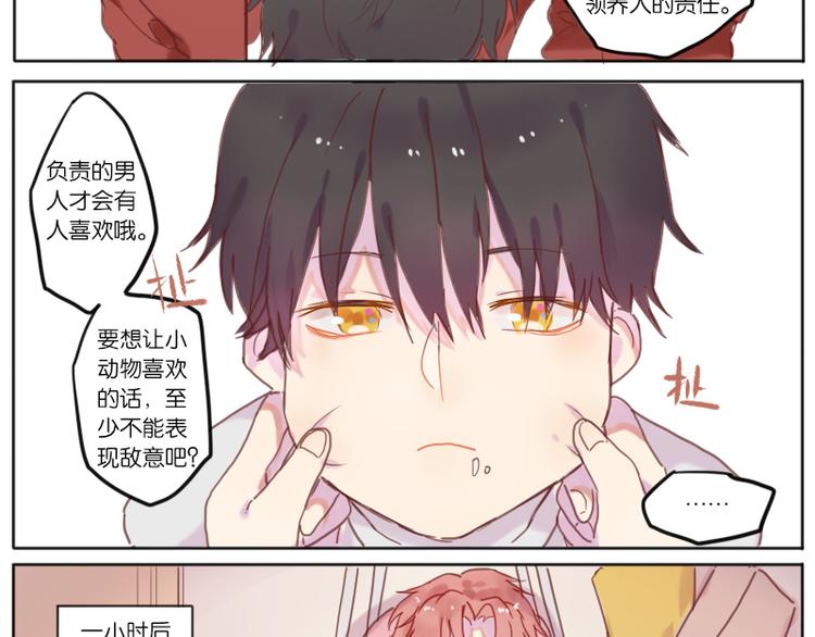 少年与猫16