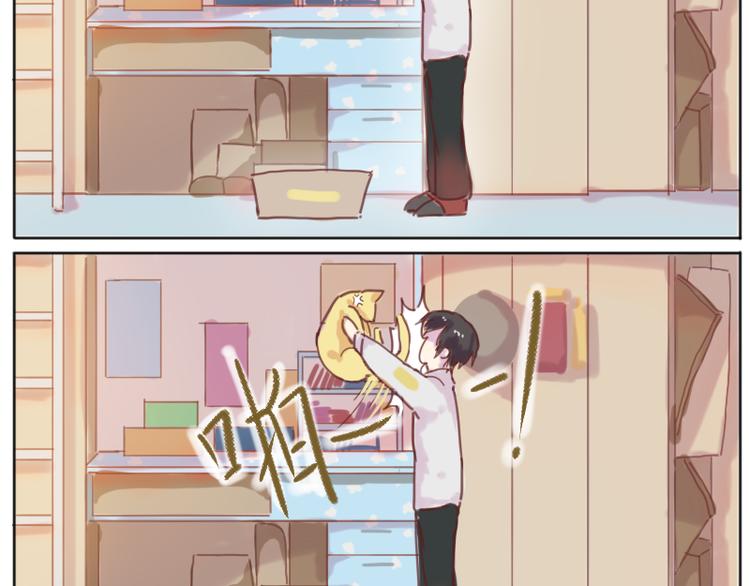 少年与猫21