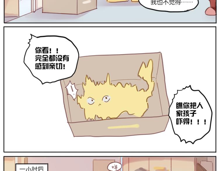 少年与猫19