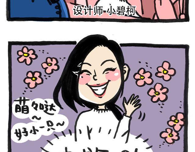 小身材大能量2