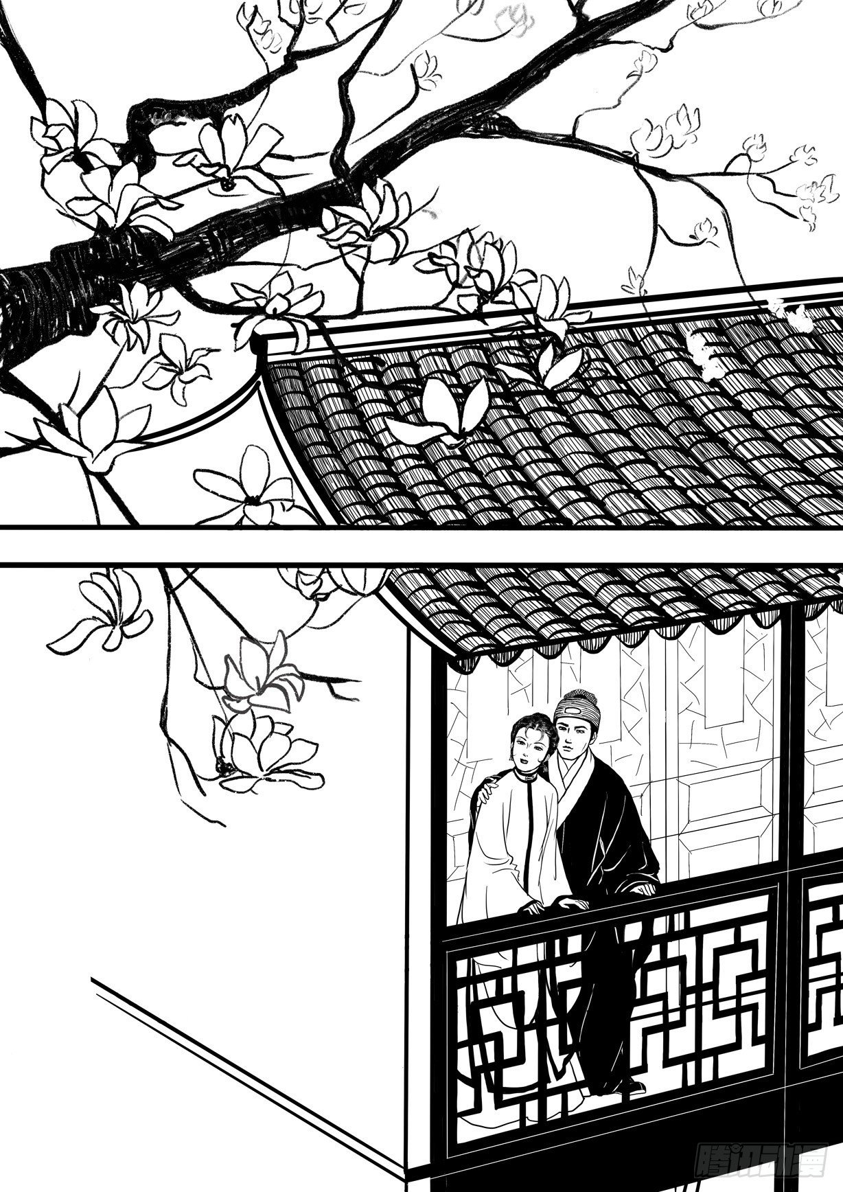 珍珠衫116