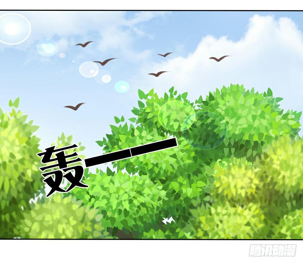 黑猫白猫13