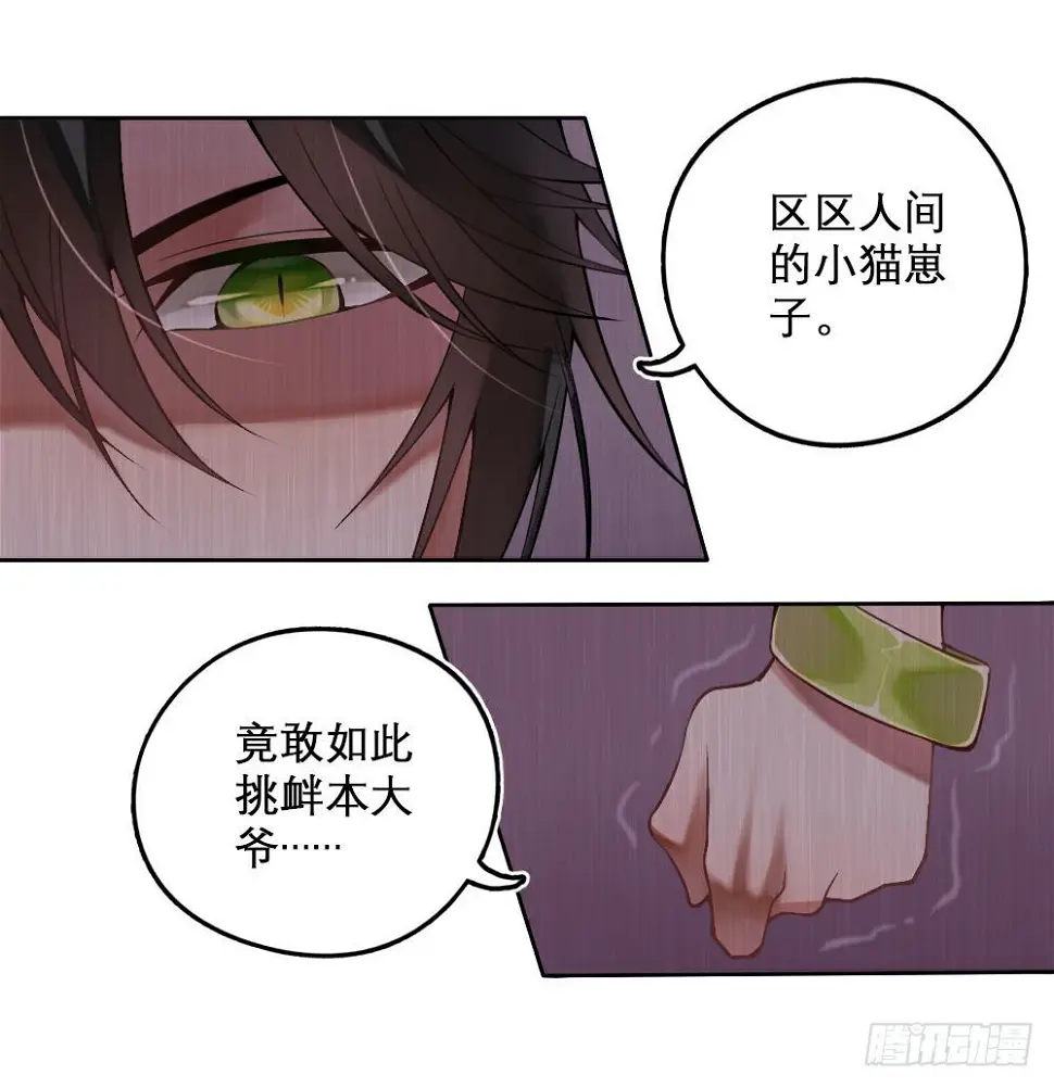 琉璃禁制11
