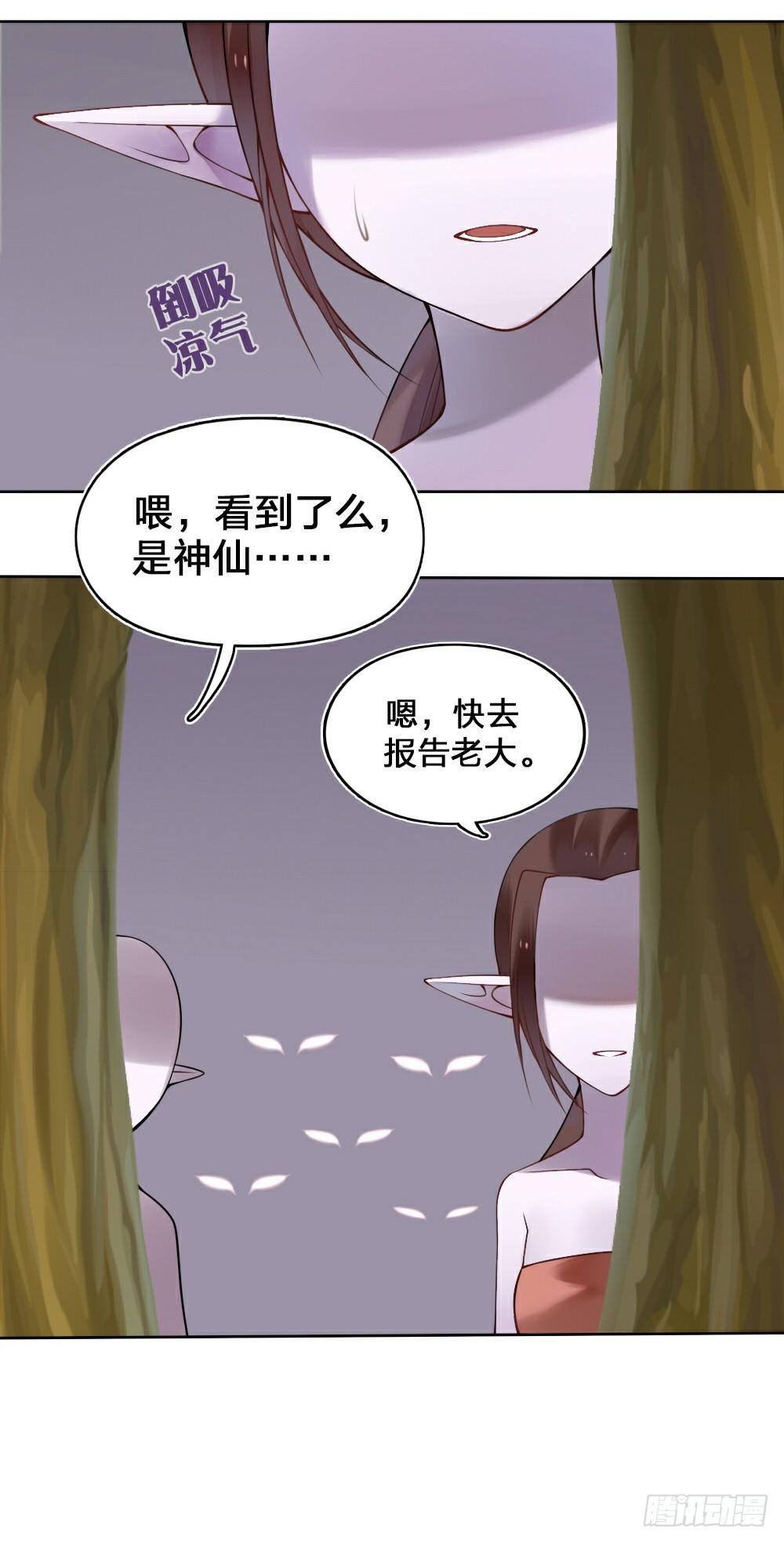 黑猫白猫14