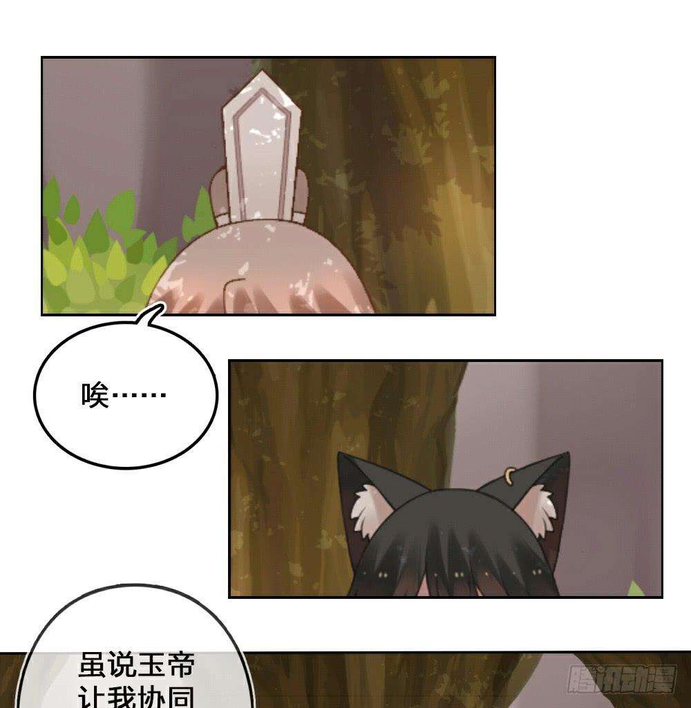 黑猫白猫16
