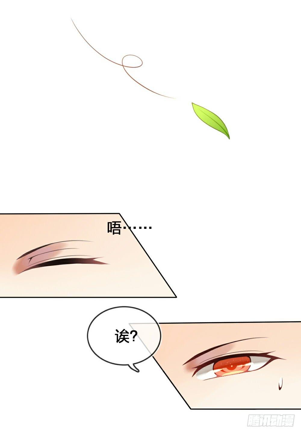 黑猫白猫2