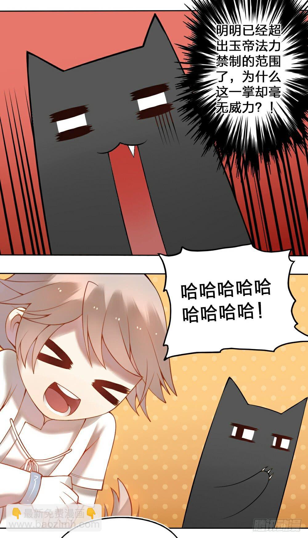黑猫白猫4