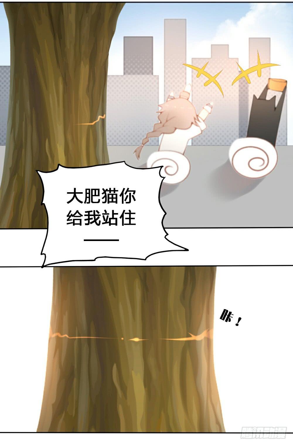 黑猫白猫12