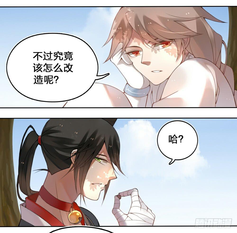黑猫白猫18