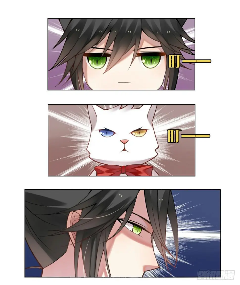 琉璃禁制1