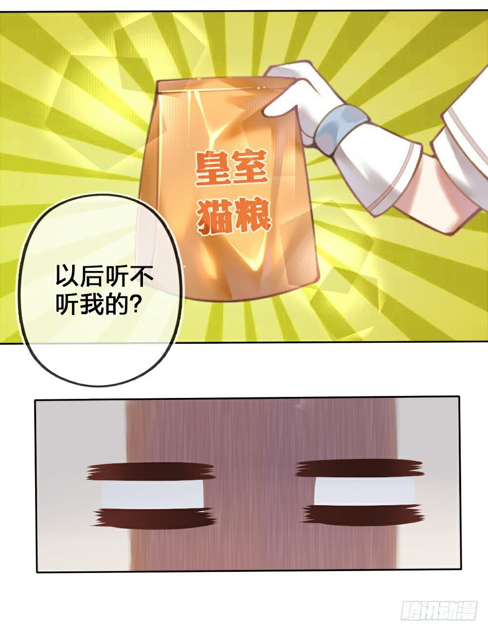 黑猫白猫10