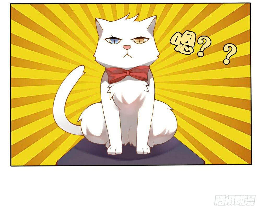 黑猫白猫22