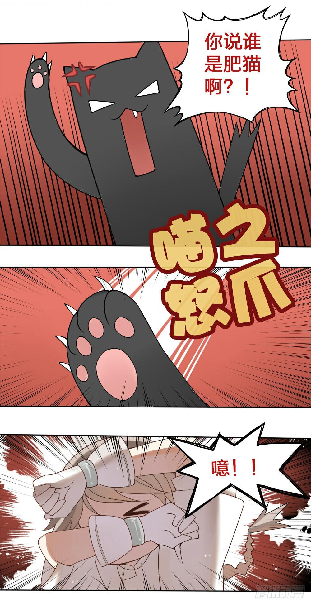 黑猫白猫1