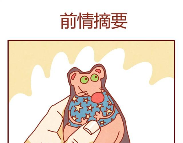 第8话 最喜欢晒太阳了喵~0