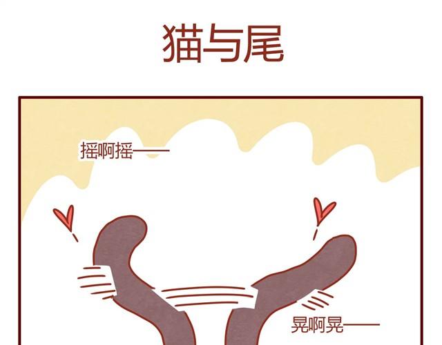 第8话 最喜欢晒太阳了喵~4