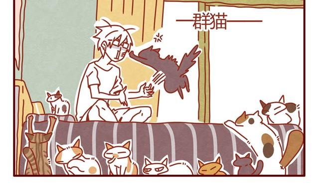 第3话 我的猫哪去了？11