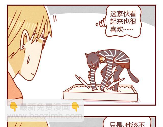 第5话 猫咪与猫砂22