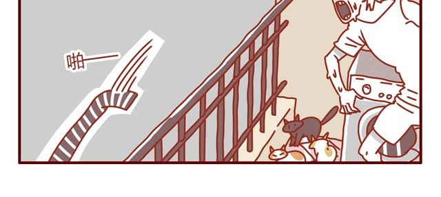 第3话 我的猫哪去了？22