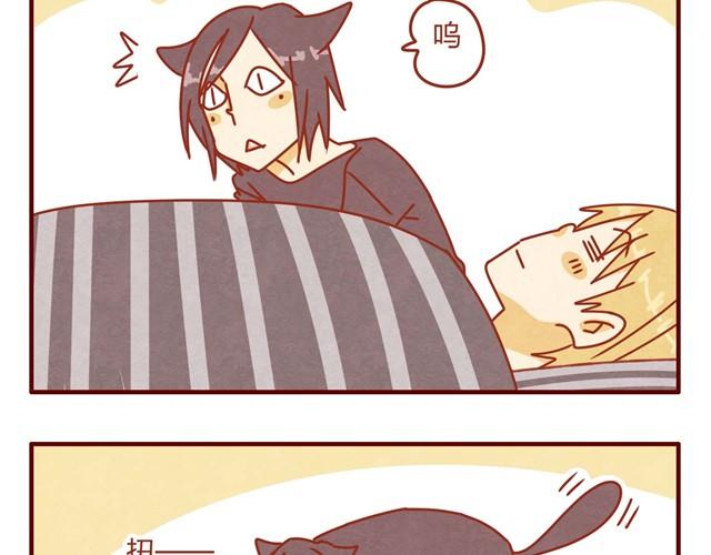第7话 果然，猫对这玩意没有抵抗力13