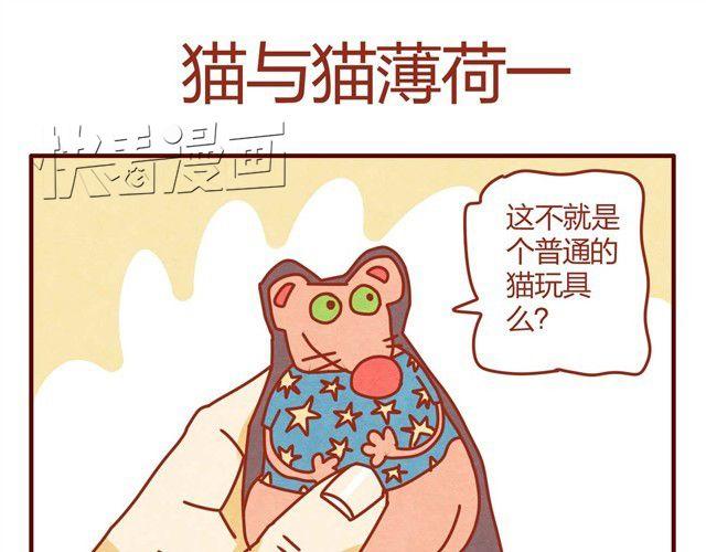 第7话 果然，猫对这玩意没有抵抗力18