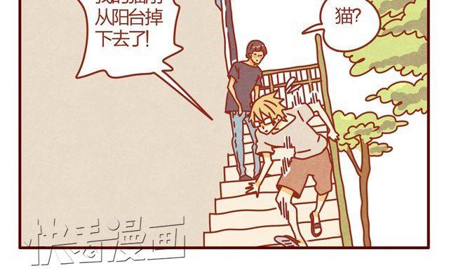 第3话 我的猫哪去了？26