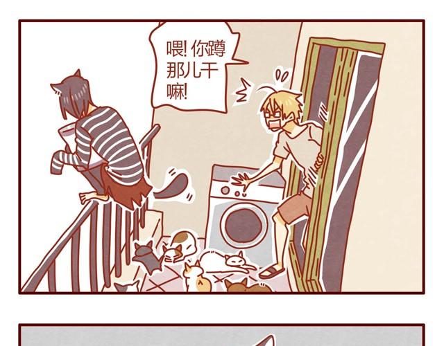 第3话 我的猫哪去了？14
