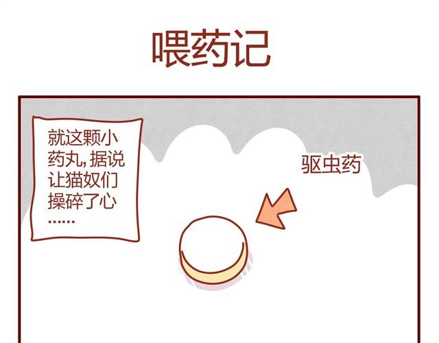 第9话 给人形喵涂防晒太艰难了26