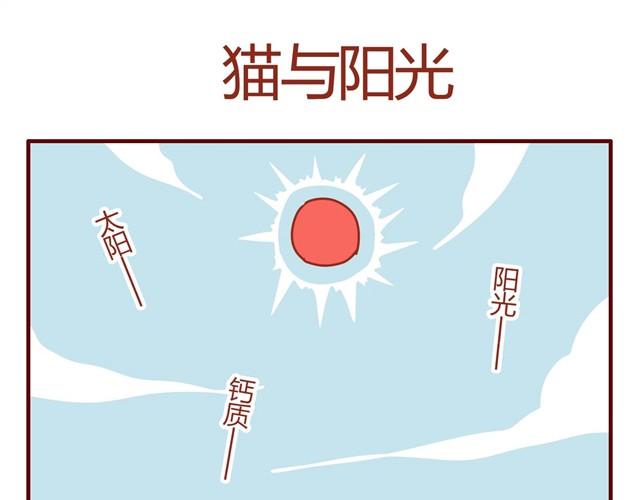第8话 最喜欢晒太阳了喵~12
