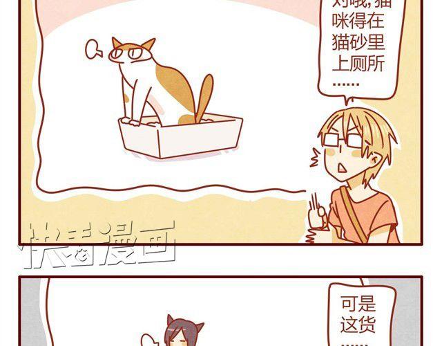 第5话 猫咪与猫砂17