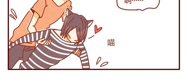 第5话 猫咪与猫砂31
