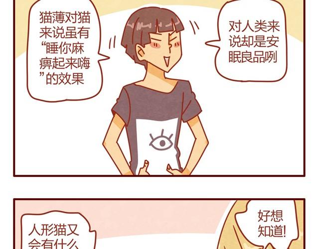 第7话 果然，猫对这玩意没有抵抗力21