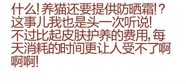 第9话 给人形喵涂防晒太艰难了3